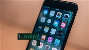 How to Install Mspy on Phone