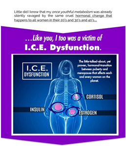 Mspy Free Premium Account